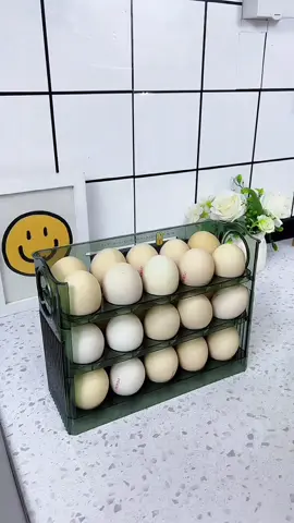 #eggstoragerack #kitchengadgets #tiktoshopmalaysia #fyp 