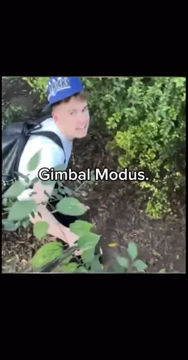 Ruhig Gimbal Modus. #fürdich #fyp #konygebony #trend #viral #clips #motion 