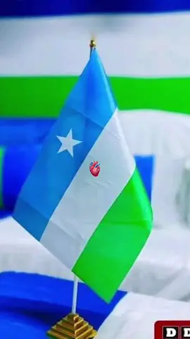 my flag🇸🇱♥️#putlander🇸🇱💙😘 🇸🇱🇸🇱#
