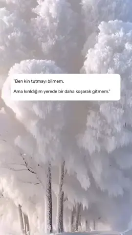 #keşfetbeniöneçıkar #gününsözü #sözlersayfası #keşfetteyizzz #fypシ゚viral #fypage #tiktok #sözlerköşkü #tiktokkeşf #sezenaksu #viralvideo #kesfet #fypシ゚viral #kesfet #ahmetkaya 