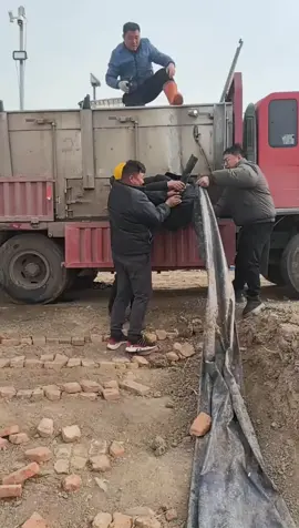 #satisfying #machines #in #action