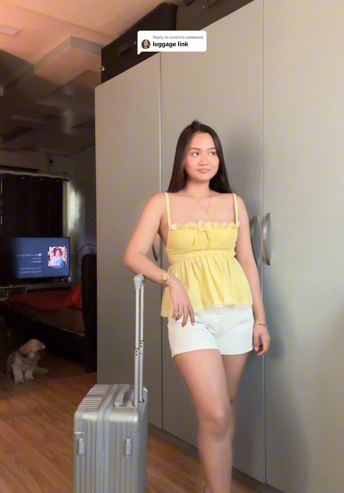 Replying to @zzzein affordable handcarry luggage in silver — also available in different colors & sizes 24, 28! let’s manifest more travel this 2025 🤩 #luggage #handcarry #carryonluggage #affordableluggage #suitcase #islandelephant #travel #traveltiktok #boracay #maleta #cabinluggage #fyp #foryou #foryoupage 