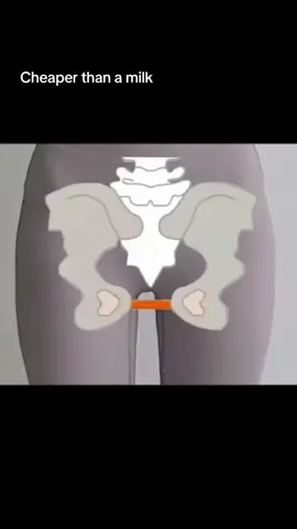 Mommas if you're struggling with your pelvic floor muscle you need this thigh master from Merach💪 The thigh master can be use for working out not only the pelvic floor muscle but also the thighs, arms, hips, glutes and back. #thighmaster #tiktokmademebuyit #fyp #spotlight #foryou 