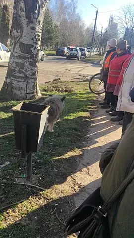 #УКРАИНЕ #славаукраїні🇺🇦🇺🇦🇺🇦 
