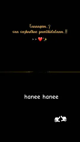 HANEE HANEE 