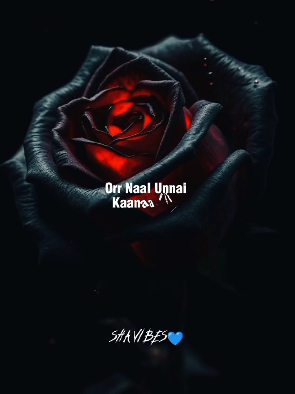 Un Per Mella Nan Sonnathum🎶🍂🫀💙 #foryou #pfypシ #tamilsong  #tamiltrends #fypシ゚viral #tiktokmalaysia #tamilmusers #whatsappstatus #fypシ #viral #tamiltrending #pfy #malaysiatiktok #shavibes #tamilmusic #rojarojatamilsong #tamiltiktok #fyppppppppppppppppppppppp 
