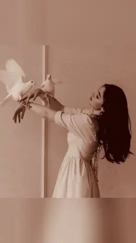 #لا تعليق 💔