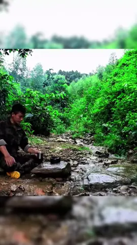 Building a Stone Shelter Under a Big Tree Part 2 #bushcraft #build #camp #camping #survival #shelter #wildlife #Outdoors #outdoor #viralvideo #fyp #shorts #construction