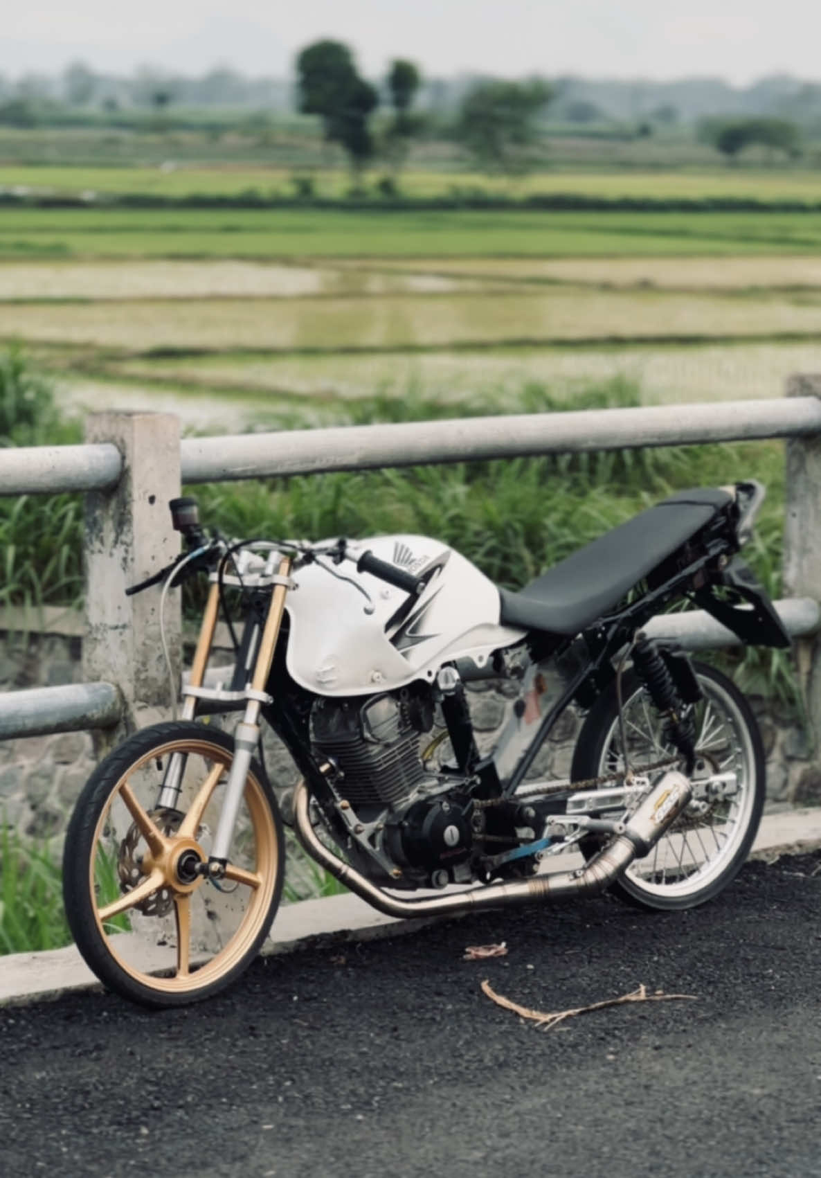 yoree🌅🤪 #xiugank⚡️#tigergank #fypage #tigertrondol #herexjatim #tiger 