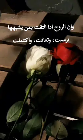 فا متى التقي بكي يا من اسرتني 🌺 #خواطر #اكسبلور #explore 