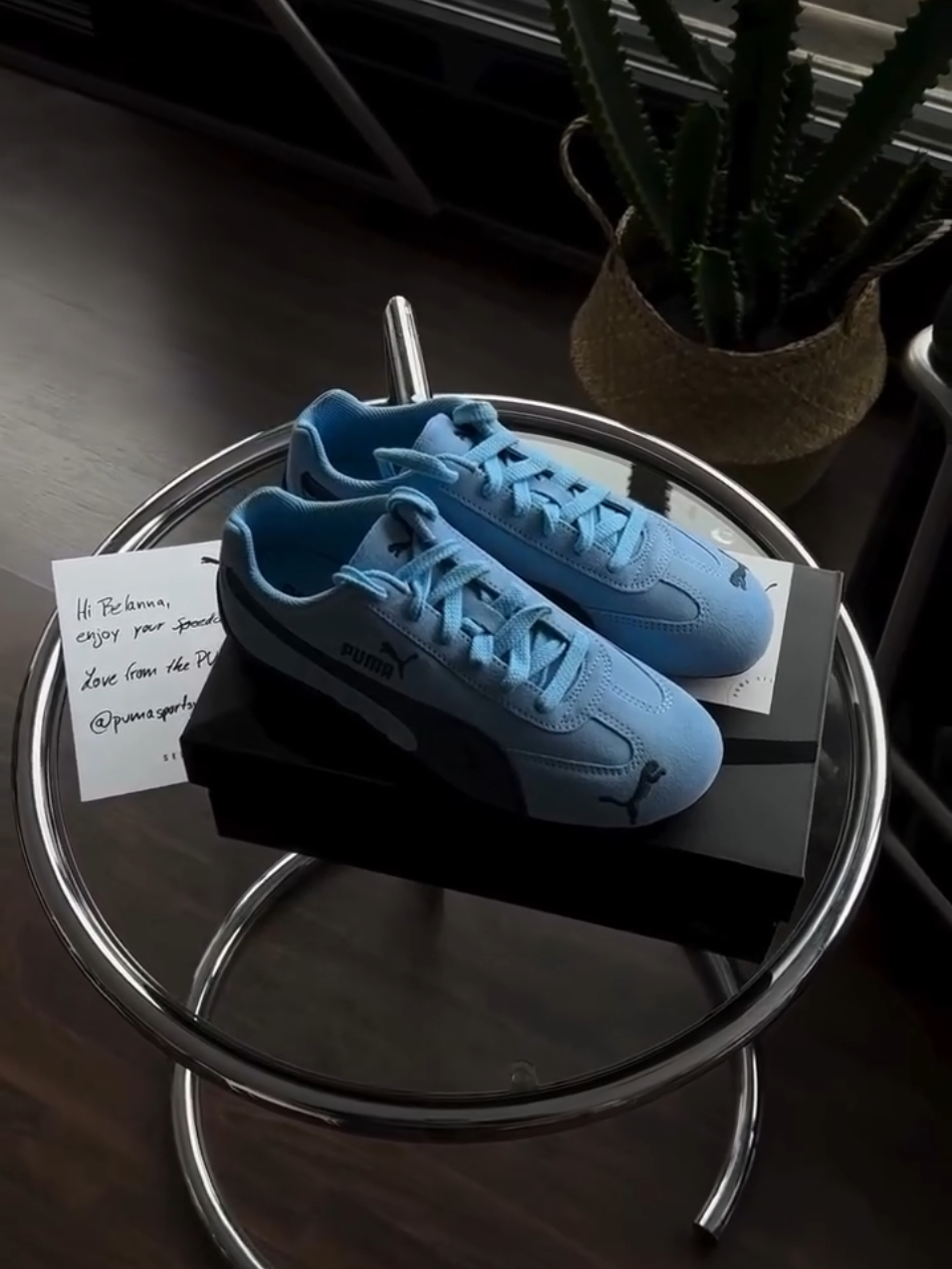 Warna baru biru. #puma #pumaspeedcat #pumashoes #sepatupumaspeedcat #pumaspeedcatarchiveteamlightblue #sepatupria #sepatuwanita #807garage #tokosepatuimportoriginalbnib #sneakersaddict #sneakerhead 