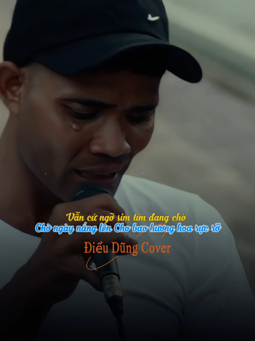 Cả Một Trời Thương Nhớ Quay Về... #monghoasim #dieudungcover #thientu #nhachaymoingay #nhacnaychillphet 