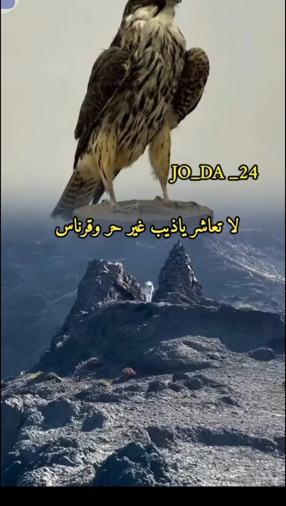 #قصيده_شعر_بوح_كلام_من_ذهب 