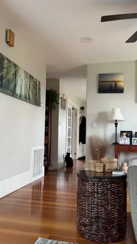 My cat awkwardly stares at this wall. #massachusetts #finthingstodo #Citylife #finthingstodo #fyp #realestate 