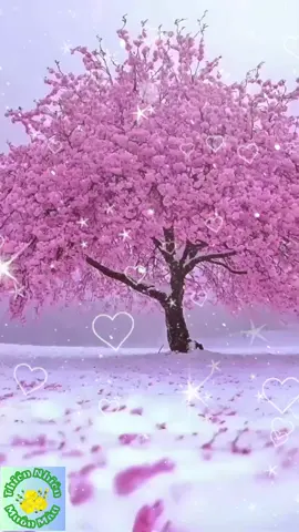 Vẻ Đẹp Của Mùa Đông ❄️❄️❄️ #scenery #beautifulscenery #winter #snow #nature #thiennhien #thiennhienmuonmau #phongcanh #longervideos 