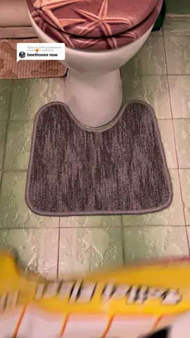 Replying to @astro g toilet|astro rizzler🥵 Für Elise for you! 🎹🚽🎶