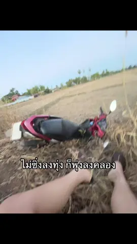 ตามนั้นคับ#ฟีดดดดดดดดดดดดดดดดดดดดดดดดดดด #อยากดัง #เจ็บนิดเดียว 