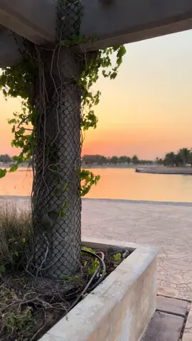 مساكم أجمل 🤍#ترندات تك توك #شيلات#بدر العزي #منظر الغروب #ينبع البحر #مجرد________ذووووووق🎶🎵💞 