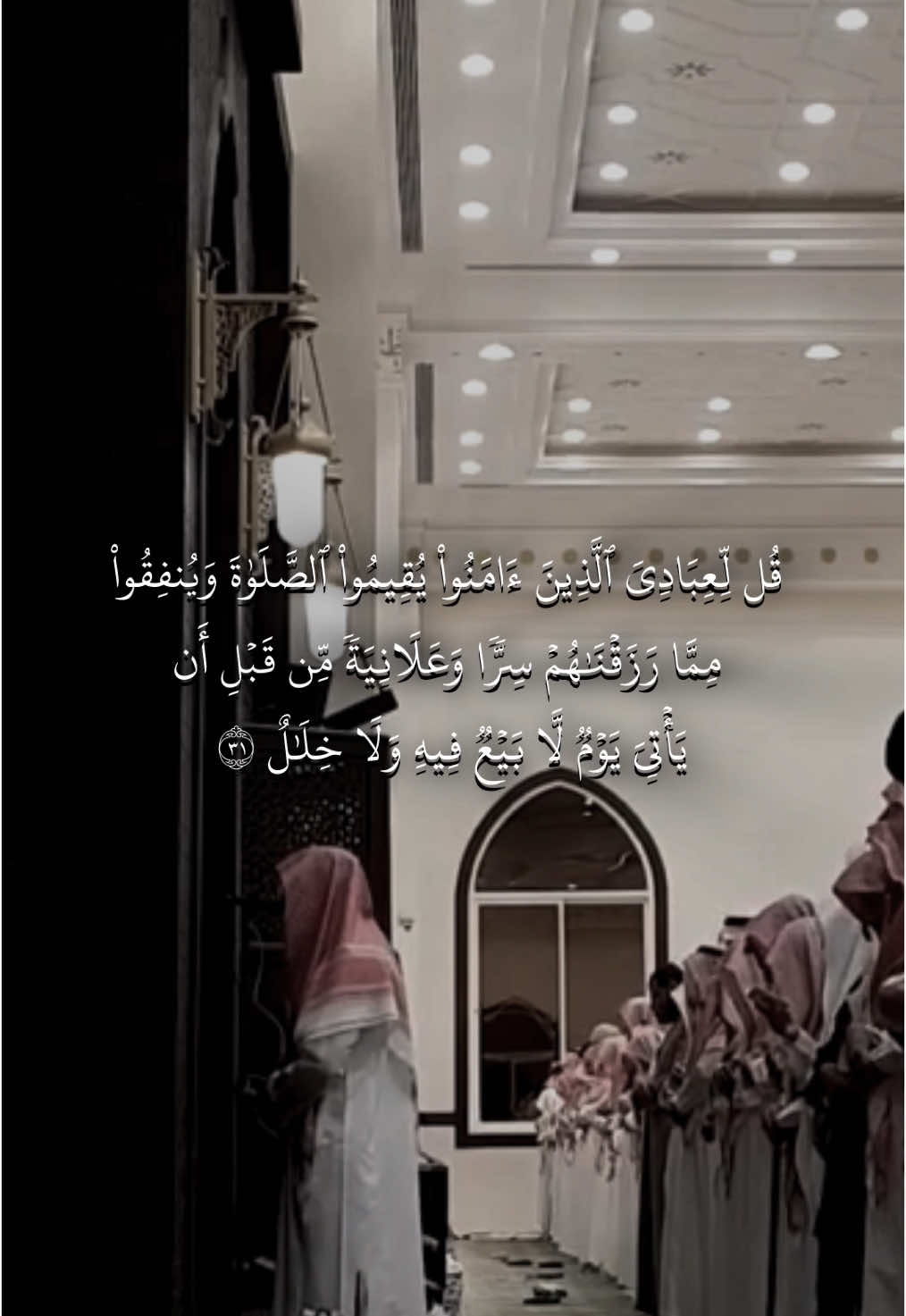 ﴿وَآتاكُم مِن كُلِّ ما سَأَلتُموهُ وَإِن تَعُدّوا نِعمَتَ اللَّهِ لا تُحصوها إِنَّ الإِنسانَ لَظَلومٌ كَفّارٌ﴾ [إبراهيم: ٣٤] - .#عبدالله_الموسى #لا_اله_الا_الله #راحه_نفسيه #سورة_ابراهيم 