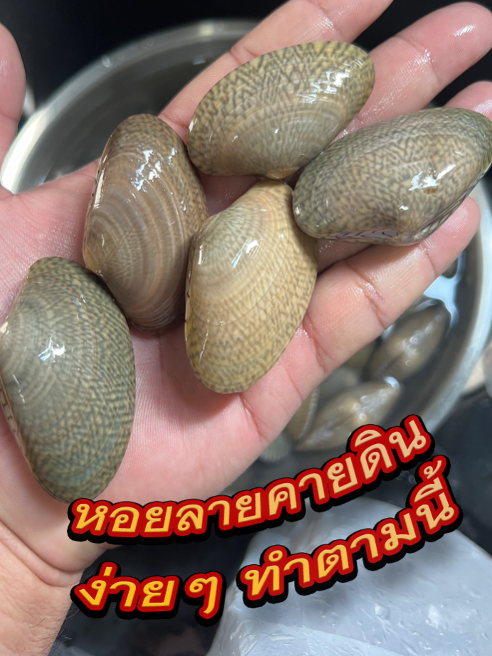 เทคนิคทำให้หอยคายดินง่ายๆ คุณจะไม่เชื่อเลยว่ามันจะง่ายขนาดนี้ #ทำอาหาร #cooking #cookingchannel #สอนทำอาหาร #food #ครัวบ้านสวนทวี #อร่อยบอกต่อ #tiktokfood #cookingtiktok #เมนูง่ายๆ #อาหาร #Foodie #ห้องครัวtiktok #กับข้าว #เข้าครัว #เทคนิคดีบอกต่อ #อร่อยไปกิน #อาหารทําเอง