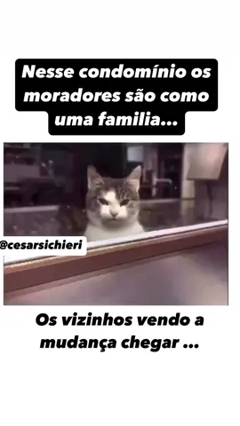 Gente será que é assim mesmo?😂😱 #sindico #condominio #sindicos #sindicoprofissional #condominiofechado #meme #sindicosprofissionais #gatos 