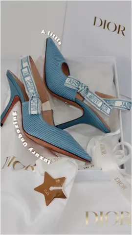What can I say? J’Adior !  🩵  #dior #diorheels #diorslingback #unboxinghaul #fyp #mtltiktok #canada_life🇨🇦 