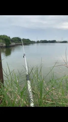 bangun tidur kuterus mancing 🎣 #fyp #livephoto #mancing #semarangstory #semarang24jam 