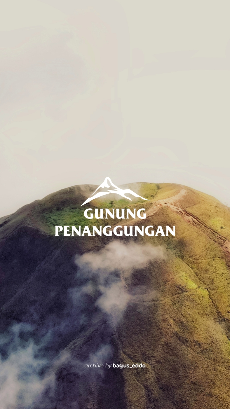 Gunung Penanggungan dengan view Lautan awannya #penanggungan1653mdpl #penanggungan #droneshot #dronevideo 