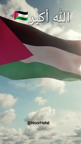 #انتصار_فلسطين🇵🇸✌ #يارب_تكبيرات_النصر_فلسطين 