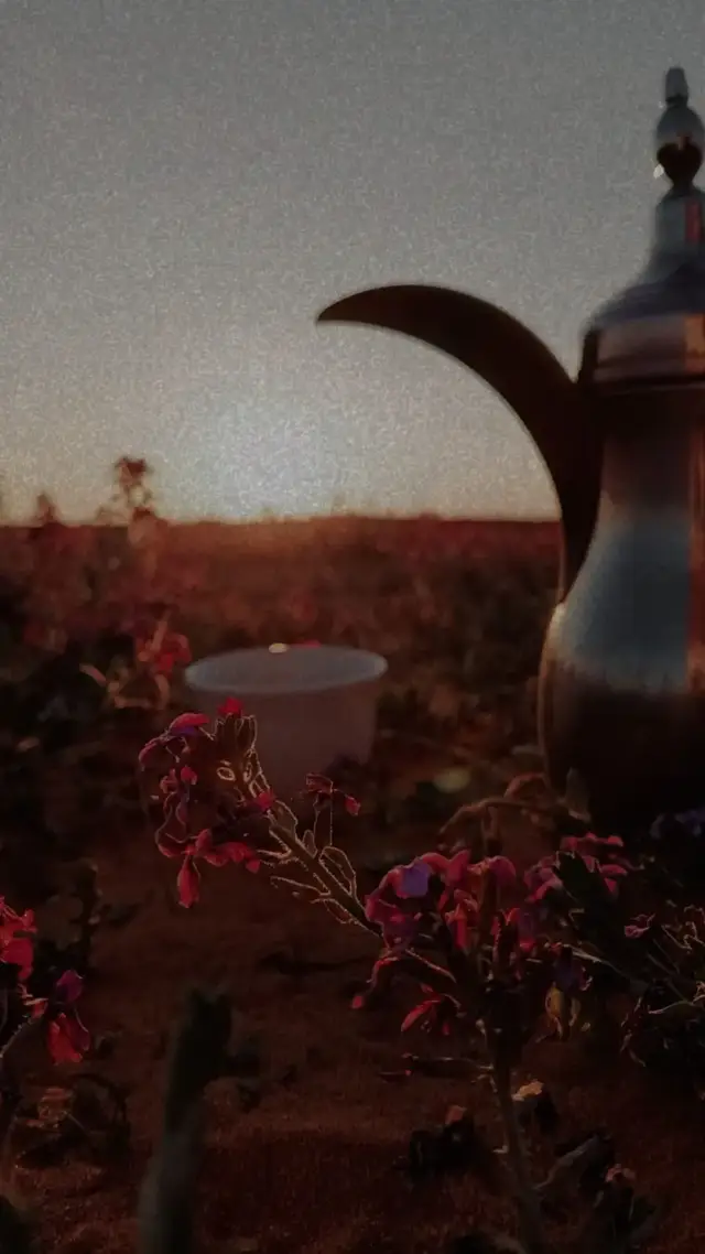 #المملكه_العربيه_السعوديه 