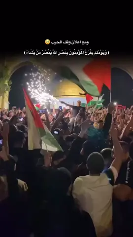 #غزة #فلسطين #قران #نصر 