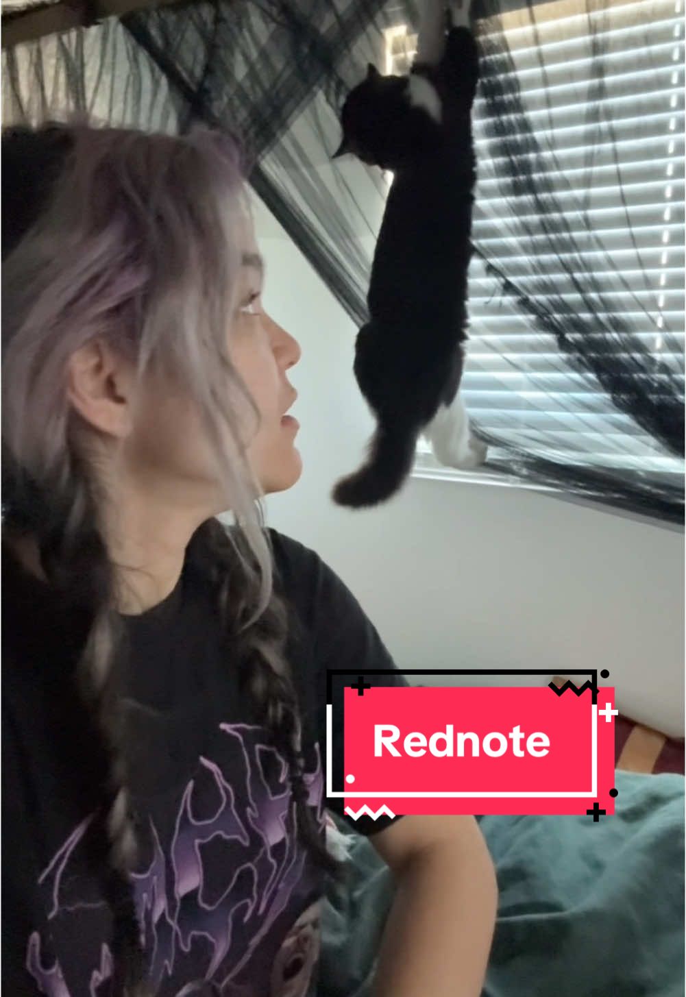 Someone is already impersonating me on rednote and it hasn’t even been a day yet! Follow my real account @miaasanomusic  #rednote 