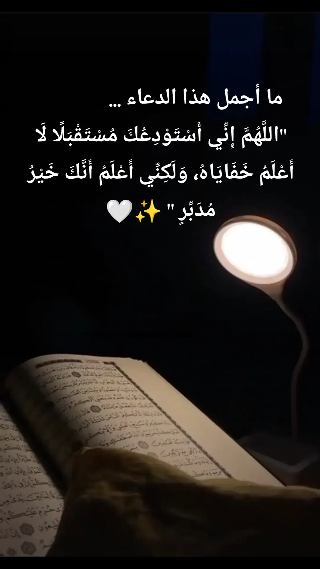 #يارب_فوضت_امري_اليك #قران_كريم #اكسبلور #يارب_وكلتك_امري #اذكروا_الله_يذكركم #لا_اله_الا_الله #الحمدلله_دائماً_وابداً #ارح_سمعك_بالقران #quran #islamic_video #اللهم_صل_وسلم_على_نبينا_محمد #explore 