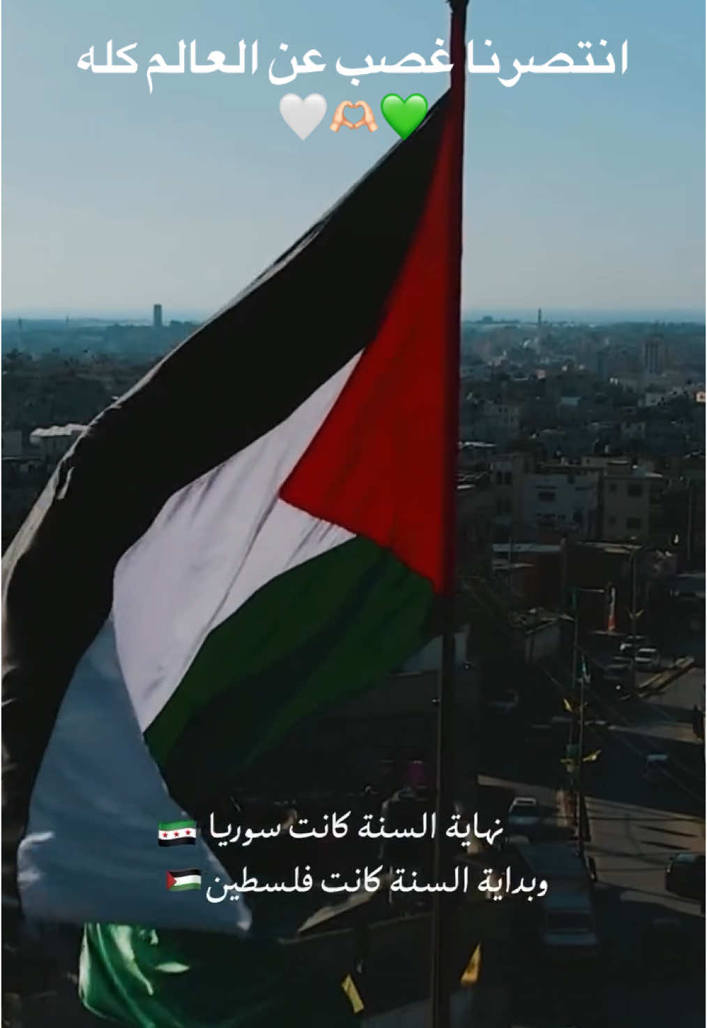 فلا ياسمين سوريا مات💚ولا زيتون فلسطين انحنى🤍مبروك لاهلنا في غزة🫶🏻🇵🇸وللجميع #freepalestines #gaza #palestine #غزة #فلسطين #القدس#سوريا #syria#وقف_الحرب_في_غزة #انتصرت_غزة #غزة_فلسطين#وقف_اطلاق_النار_في_غزة#💚💚💚 #فلسطين🇵🇸#نصر #حرية #اكسبلور_explore_لايك_فولو_كومنت #اكسبلورtrende #explorer #فولو🙏🏻لايك❤️اكسبلور🙏🏻🌹💫t 