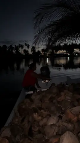 Fuimos por las conchas de coco y miren el final