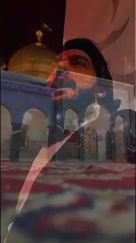 @hussein kheir dine #hussein_kheirodine #حسين_خير_الدين #nour_an13 #foryou #fyp #f #v #viral #السيدة_زينب #عالية_المقام #استشهاد_السيدة_زينب🏴🖤 