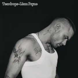 #capcut_edit #fyp #fyppp #fypdong #fypシ゚viral🖤tiktok #fypシ゚viral #liampayne #payne #payno #lp1 #teardrops #ripliam #xyzabc 