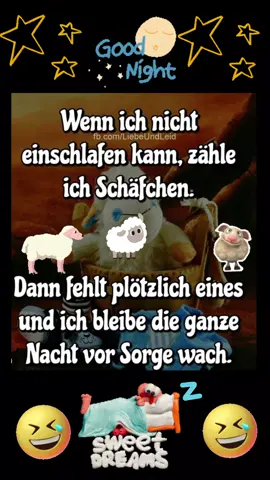 #Goodnight #Sweetdreams #Humor #Lachen #lustig #spaß #fyviral #fyp 🌙💤💤💫💫🤣🤣🤣🤣