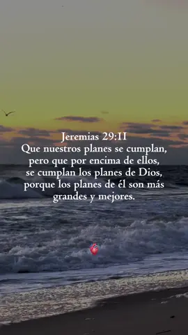 Los planes de Dios sobre pasan todo entendimiento, que se cumplan en nuestras vidas.  #cristianos #cristianosunidos #cristianosentiktok #palabradedios #frasescristianas 