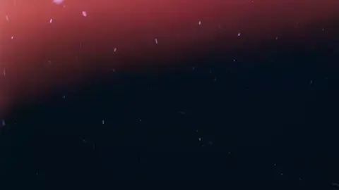 cách mà kẻ phản diện sinh ra...#anime #xuhuong #yzsqd #yume_anime💤❄️ #ad🐧_squad🌀 #tow_1207 