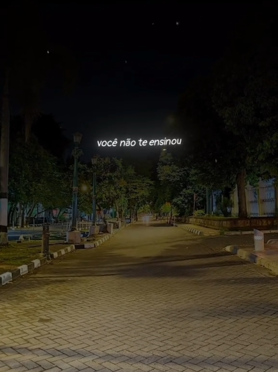 você não me ensinou a te esquecer...😫 #nuncamasperdela #eagoraoquefacodavidasemvoce #vocenaomeensinouateesquecer #legendademusicas #musicasofrencia #legendademusicas #tipografiamusicas 