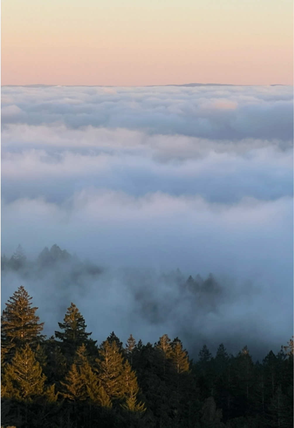 Clearing my drafts n missing Mt. Tam a lil extra today, perfect sunset views  🌅 #mttamalpais #nature #mounttamalpais mountain #Hiking #sunset #sanfrancisco #sf 