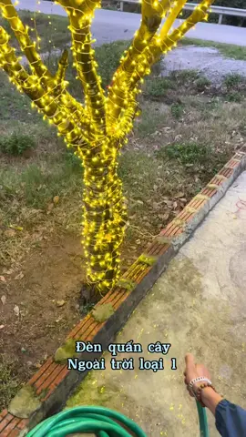 Tưới cây luôn nè #dentrangtri #ledquancay #viral #tet2025🥰🧨 #LIVEhighlights #xuhuong #f5 #ledduc 