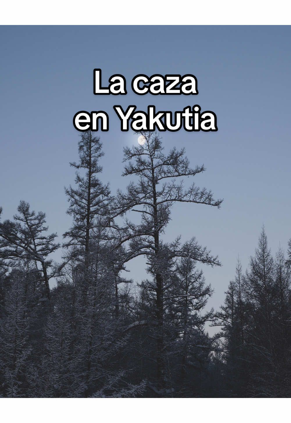La caza en Yakutia no es solo un trabajo.  Es un estilo de vida, una prueba de resistencia y una lección de supervivencia en condiciones extremas. Cada cazador sabe que en la taiga no solo dependes de ti mismo, sino también de los demás. Aquí es costumbre ayudar a cualquiera que esté en una situación difícil. Por ejemplo, si entras a una cabaña, deja algo de comida o cerillas para el próximo viajero. El día a día de los cazadores es muy sencillo, pero pensado hasta el último detalle. Siempre tienen ropa cálida, provisiones y herramientas que pueden ser útiles en cualquier momento. Y el calor de la estufa y el aroma de la leña crean un ambiente acogedor, incluso en un lugar tan duro. La comida suele ser lo que se puede cazar o recolectar: pescado, carne, frutos silvestres. Todo se prepara rápido para no perder tiempo. Pero lo más importante es el respeto por la naturaleza. Los cazadores solo toman lo necesario para alimentar a sus familias. Esta regla se ha transmitido de generación en generación. Vivir en la taiga no se trata de comodidad, sino de equilibrio. Aquí aprendes a valorar las cosas simples: el calor, la comida y el apoyo de los demás. Eso es lo que hace únicos a los cazadores de Yakutia #yakutia #rusia #caza 
