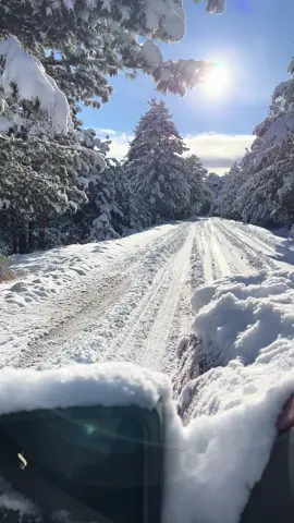 Que buena nevadita en Creel ❄️☃️ #fyp #traveltiktok #travel #mochileros #creel #chepeexpress #barrancasdelcobre #juarez #elpaso 