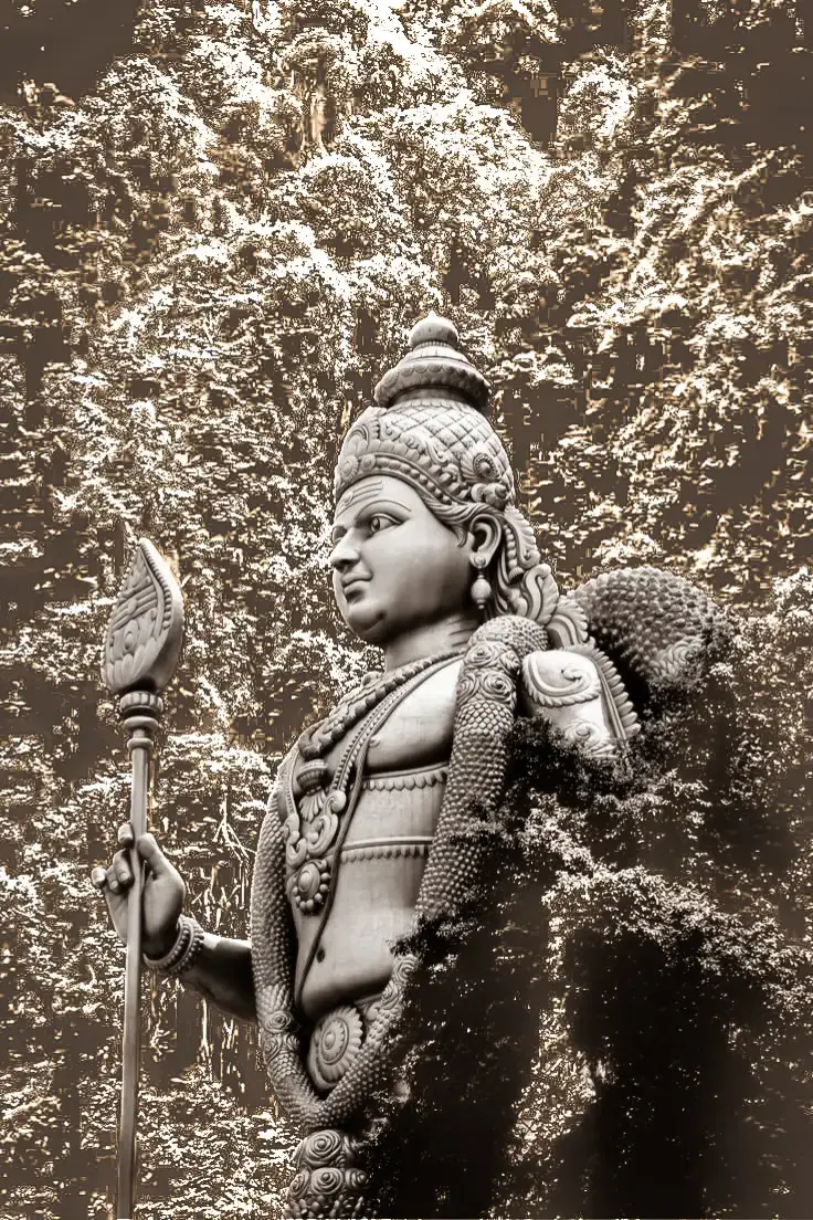 murugan HD wallpapers for all Murugan Devotees.   ஓம் முருகா சரணம்