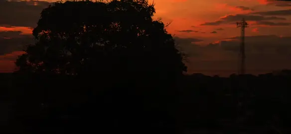 🌅 #paisajes #tranquilidad #fyp #videoviral #atardecer #foryoupage❤️❤️ 