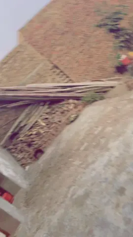 #Ha Bhi’s shria ☠️🤬#unfrezzmyaccount #foryou #foryoupageofficiall #growmyaccount #unfrezzmyaccount 