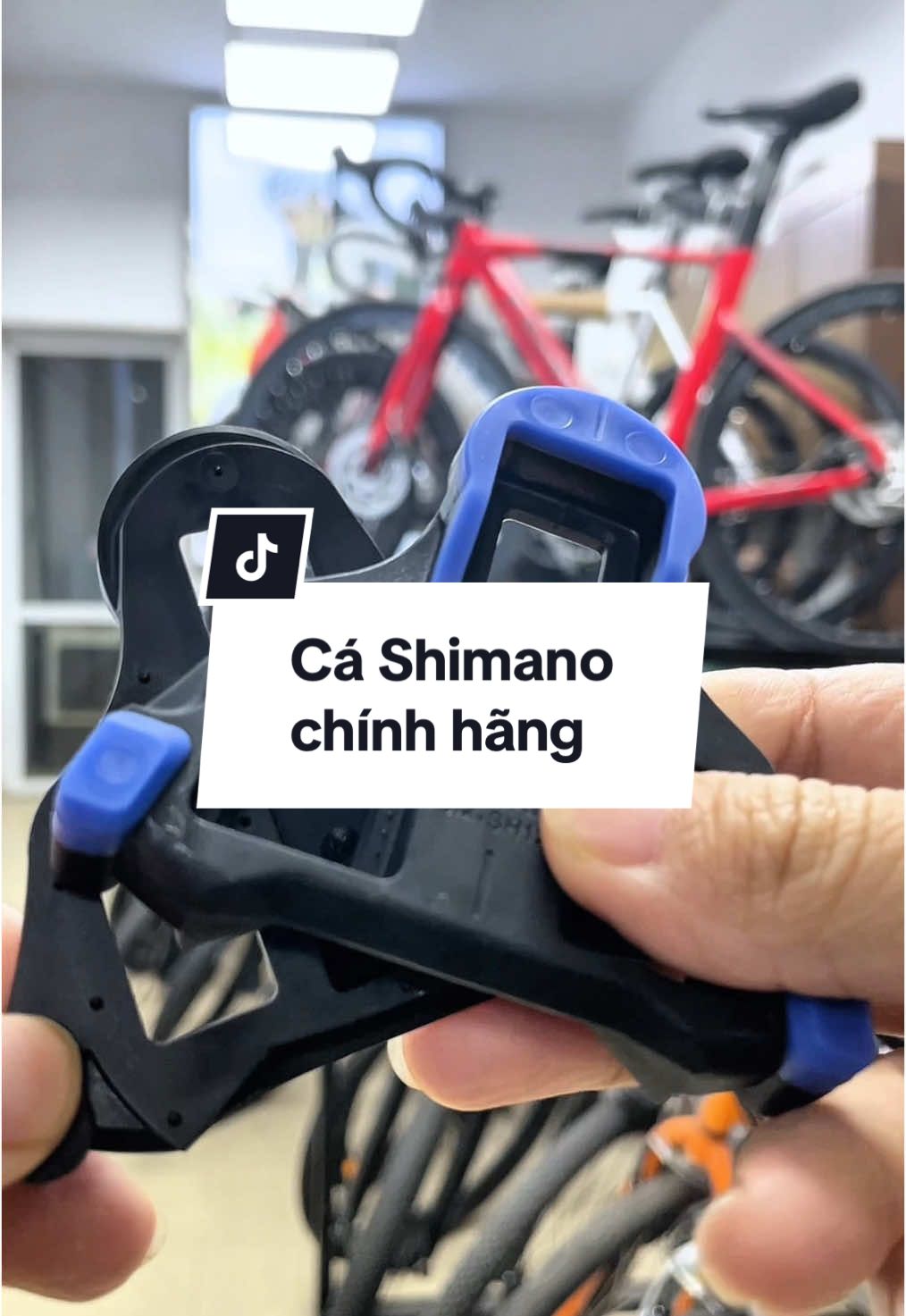 Cá road Shimano chính hãng cho xe đạp #hanoibikeshop #fixedgear #cleatshimano #xedapthethao 