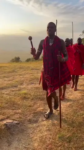 Masai in Tanzania Safari: A Cultural Highlight 	1.	Immerse in Tradition Meet the iconic Masai people, known for their vibrant red clothing, beadwork, and deep connection to nature. Visit villages near top safari destinations like Serengeti and Ngorongoro Crater for a glimpse into their traditions. 	2.	Cultural and Wildlife Harmony Discover how the Masai coexist with Tanzania’s wildlife. Learn through their storytelling, traditional dances, and sustainable way of life that complements your safari adventure. 	3.	Ethical Encounters Engage respectfully by choosing ethical tours, supporting local artisans, and appreciating their customs. A visit to the Masai adds depth and meaning to your safari experience.